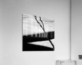 Tree and Ice Acrylic Print