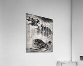 Dailbeag Sea Acrylic Print