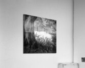 Summer Pond Acrylic Print