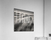 Rattray Head Dunes Acrylic Print