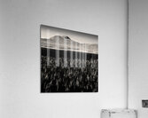 Loch Awe Reeds Acrylic Print