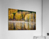 Autumn on River Tummel Impression acrylique