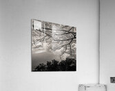 Bosherston Lakes Acrylic Print