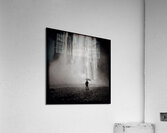 Before the Fall Impression acrylique