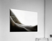 Nude Study No1 Acrylic Print