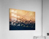 Bubbles II Impression acrylique