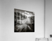 To the Beach Acrylic Print