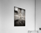 White Swan Impression acrylique