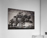 Windswept Trees Acrylic Print