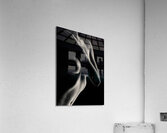 Nude Study No11 Acrylic Print