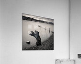 Limbless on Loch Rannoch Impression acrylique