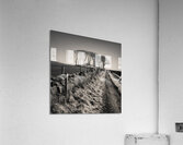 Fields End Grove Acrylic Print