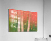 Maple in Motion Acrylic Print