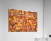 Autumn Leaves Acrylic Print