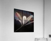 Woodland Study 6 Acrylic Print