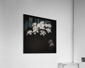 Woodland Study 2 Acrylic Print