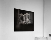 Woodland Study 9 Acrylic Print