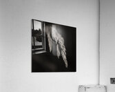 Woodland Study 7 Impression acrylique