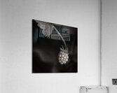 Woodland Study 10 Impression acrylique