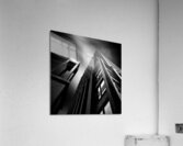 Wijnhaeve Acrylic Print