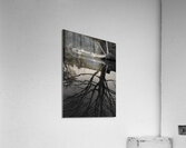 Dory on the Union Canal Acrylic Print