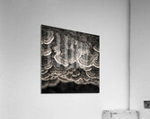 Bracket Fungi Acrylic Print