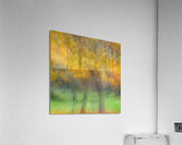 Autumn Shimmer Acrylic Print