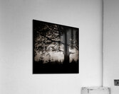 As the Day Fades Acrylic Print