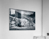 Fox Glacier Acrylic Print