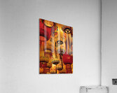 Kwai Chai Hong Lanterns Acrylic Print