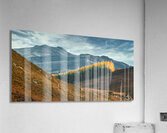 Tay Forest Edge Acrylic Print