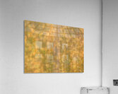 Whispering Leaves Acrylic Print