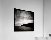 Forests Edge Acrylic Print