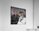 Different Lives Acrylic Print