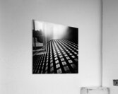 Lines of Learning Acrylic Print