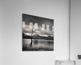 Buttermere Tree Acrylic Print