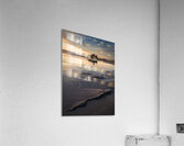 Bamburgh Castle at Dawn Acrylic Print