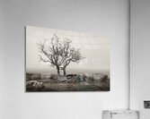 Dartmoor Solitude Impression acrylique