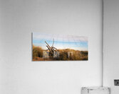 Driftwood Acrylic Print