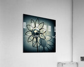 Metal Flower Acrylic Print