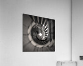 Plas Newydd Spiral Staircase Acrylic Print
