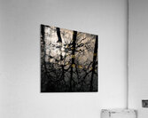 Woodland Waters Impression acrylique