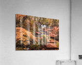Autumn in Kokoen Garden Acrylic Print