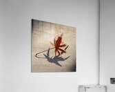 Fallen Beauty Impression acrylique