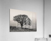 Islay Sentinel Impression acrylique