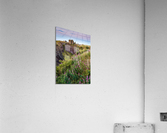 Summer at Dunnottar Castle Impression acrylique