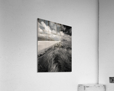 Berneray West Beach from Dunes Acrylic Print