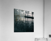 Wilhelminapark Acrylic Print