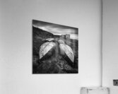 Boddin Point Impression acrylique