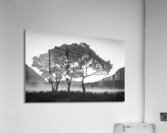 Morning Mist over Crummock Water Acrylic Print